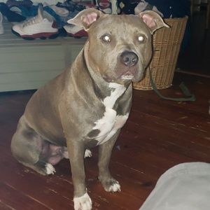 Meet your Posher, Jerry